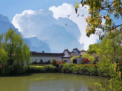 糖心VLGO城市漫步作品五