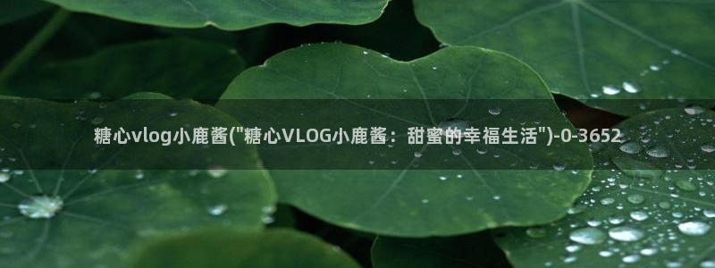 台湾精品糖心vlog