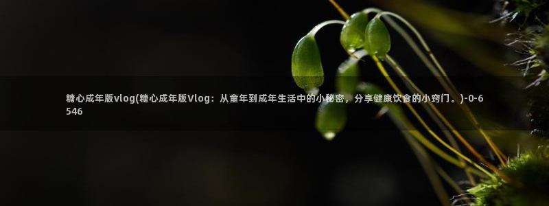 糖心vlog在线免费