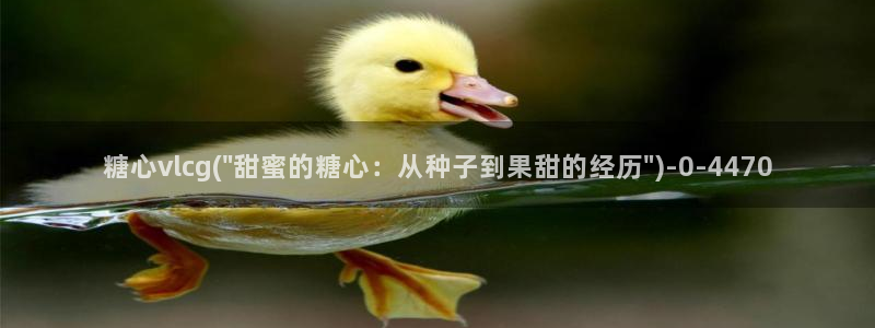 糖心vlog免费高清观看