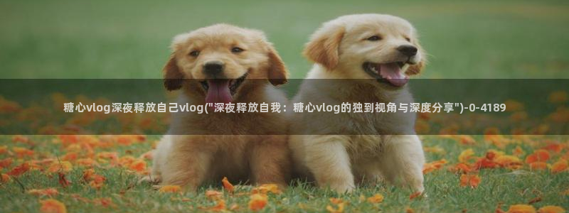 糖心velog