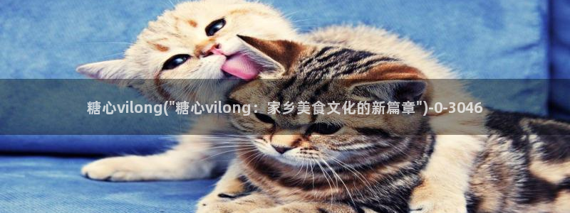 糖心vlog下载安卓版