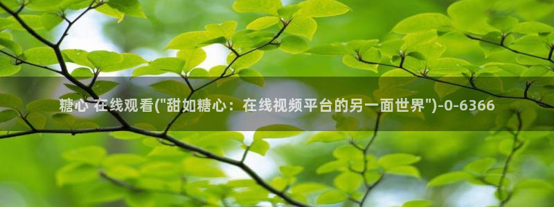 糖心 vlog 免费版