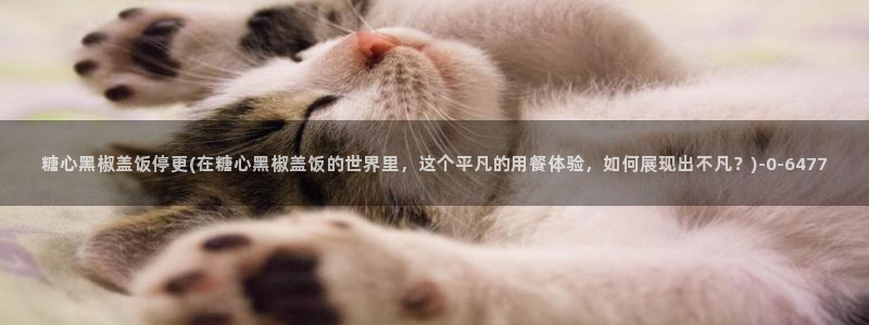 糖果心vlog在线观看