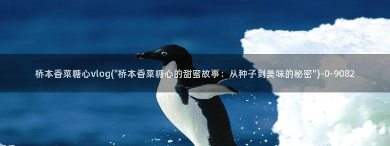 糖心vlog官网进入