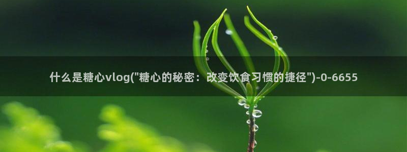 心糖vlog免费版在线观看免费