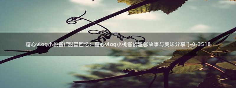 糖心vlog福利