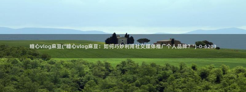 糖心txvlogcom