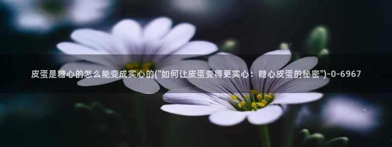 心糖vlog官网入口