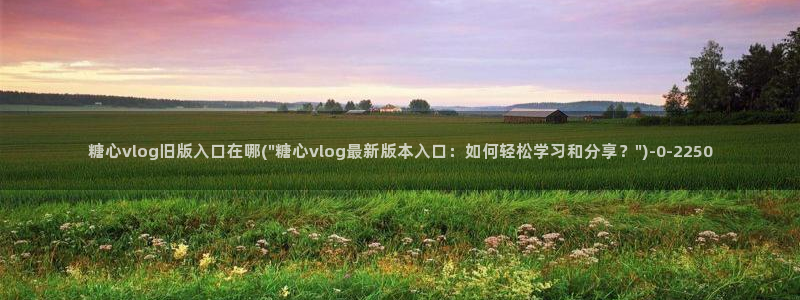 糖心vlog黄版