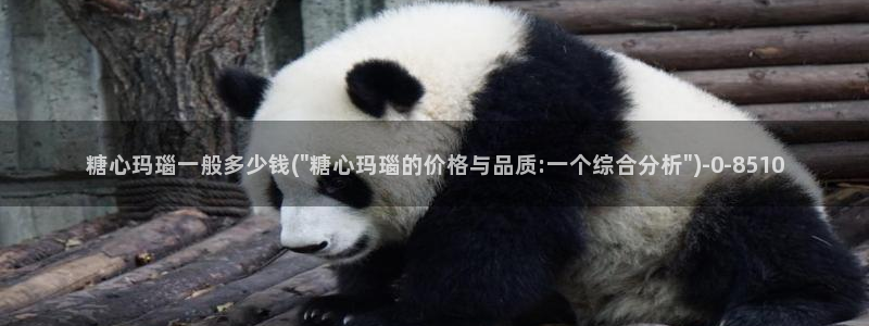 糖心vlog金善雅