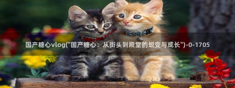 糖心vlog高清免费