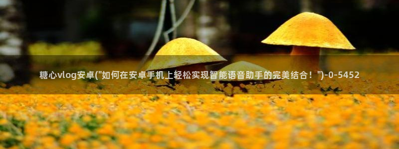 糖心vlog官网版