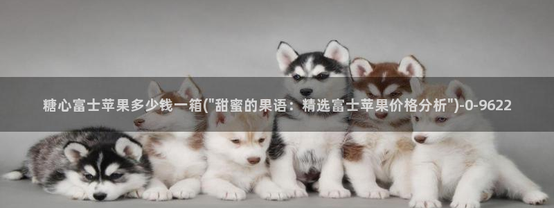 糖心vlog工作室