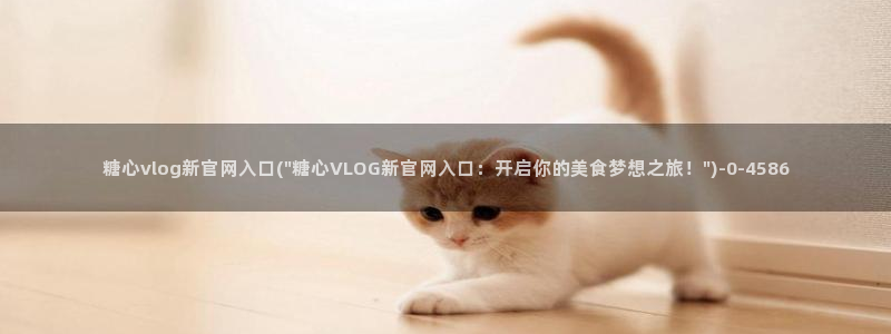 心糖vlog原创